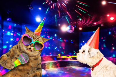 Take a Break Party im MUKS, Bild: © MUKS Museum Kultur & Spiel Riehen